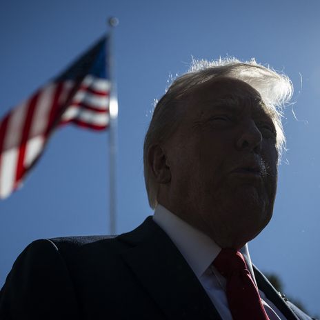 US President Trump on the South Lawn of the White House on Oct. 5, 2025