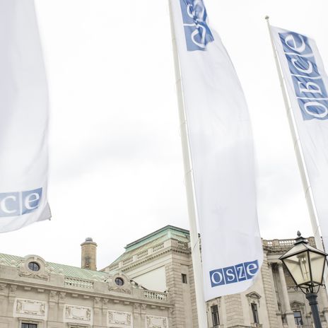 Flag of the Organization for Security and Cooperation in Europe (OSCE), based in Vienna, Austria.