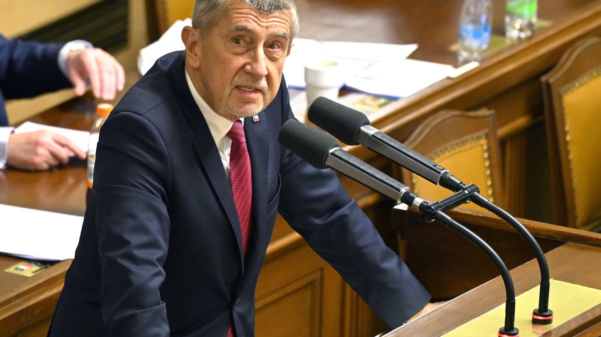 Der tschechische Ministerpräsident Andrej Babiš in einer Sitzung der Abgeordnetenkammer in Prag am 15.01.2026 Der tschechische Ministerpräsident spricht im Unterhaus des Parlaments