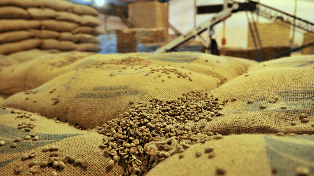 Säcke mit ungerösteten Kaffeebohnen in einem Lagerhaus in Brasilien Kaffeebohnen auf Leinensäcken